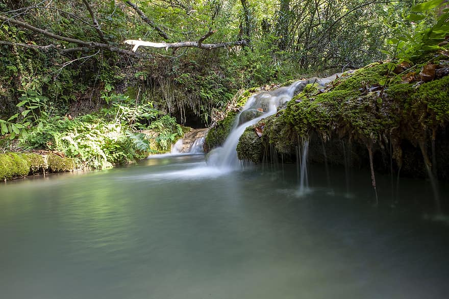 Bos, waterval, stroom, rivier-, natuur, buitenshuis