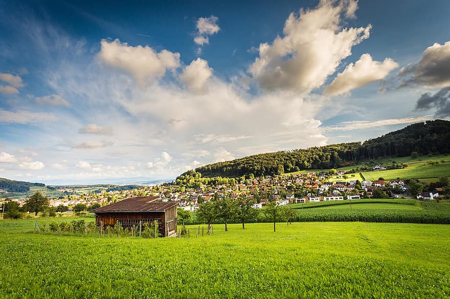 frenkendorf, пейзаж, на открито, зелен, природа, Швейцария, трева, роден град, селски, небе, панорамен