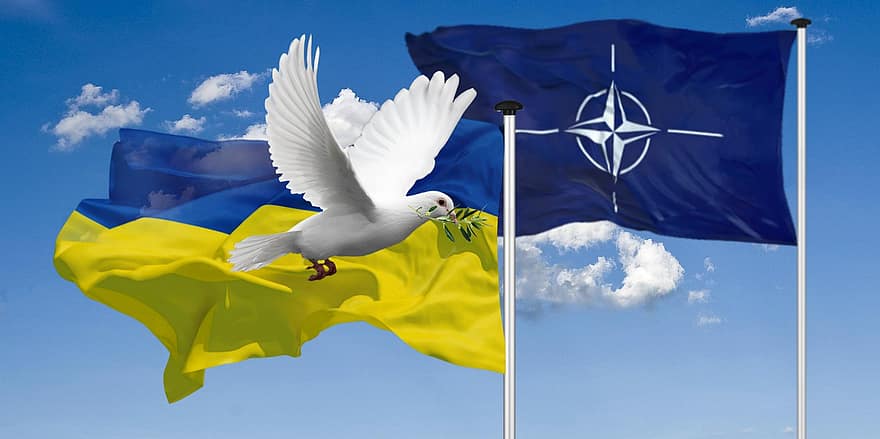 Navo, Oekraïne, vlaggen, vredesduif, solidariteit, banier, duif, vrede, wereldvrede, aarde, Oost-Europa