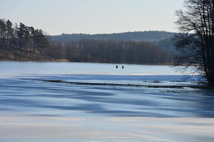 ezers, saldēts ezers, Polija, Suvalku reģions, ziemā, ainavu, raksturs, sniegs, zils, ūdens, koks