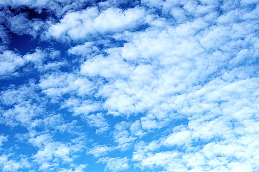 ท้องฟ้า, เมฆ, Skyscape, Cloudscape, คิวมูลัส, น่านฟ้า