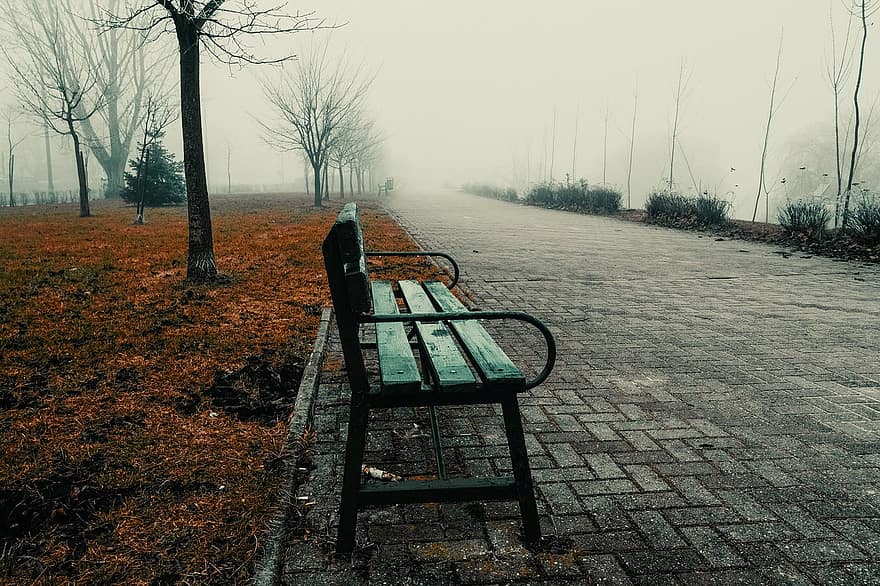 Bench, Park, Fog, Trees, Bare Trees, Fall, Foggy, Seat, Wooden Bench, Gloomy, autumn