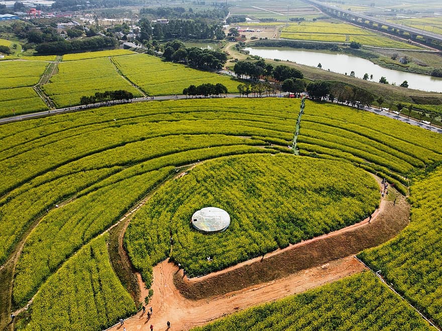 Shenzhen, park, tereprendezés, farmlands, légi felvétel, Guangdong, háttér, mezőgazdaság, tanya, vidéki táj, tájkép