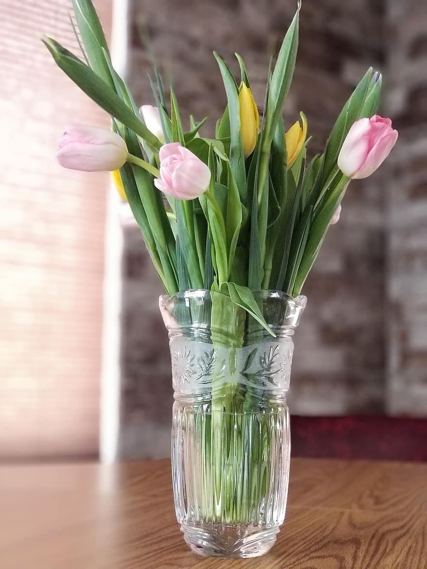 tulipán, florero, las flores, ramo de flores