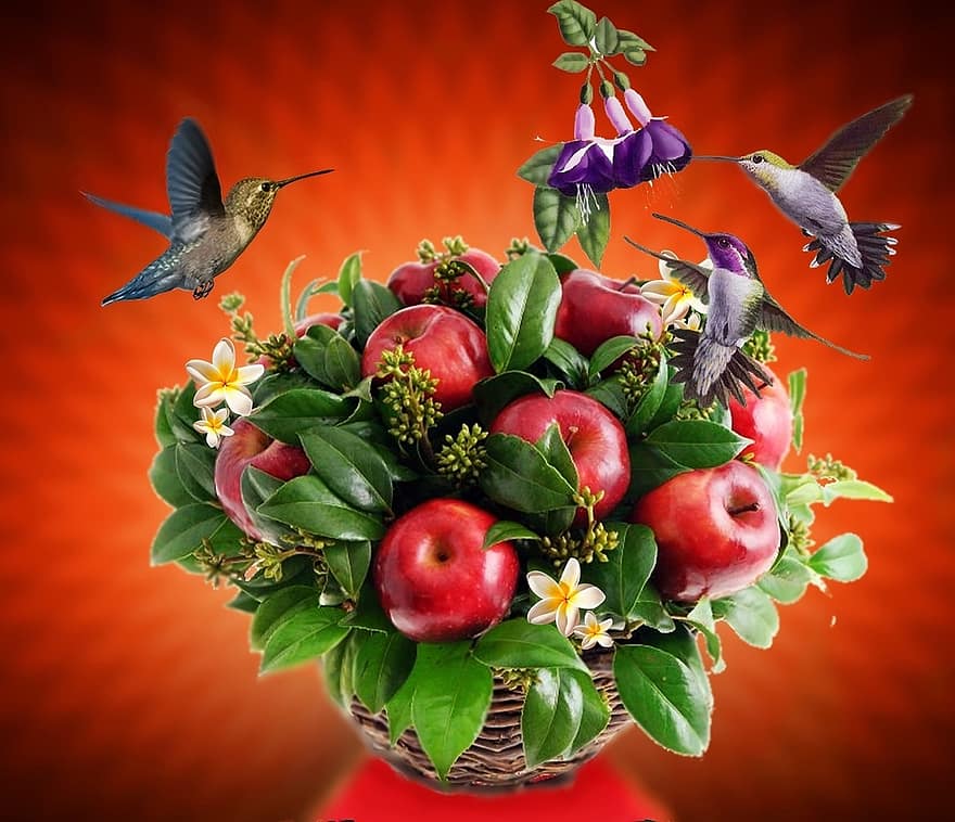 burung, birdie, alam, burung tropis, terbang, bunga, bunga-bunga, bunga kuning, gandum, biji kopi, langit