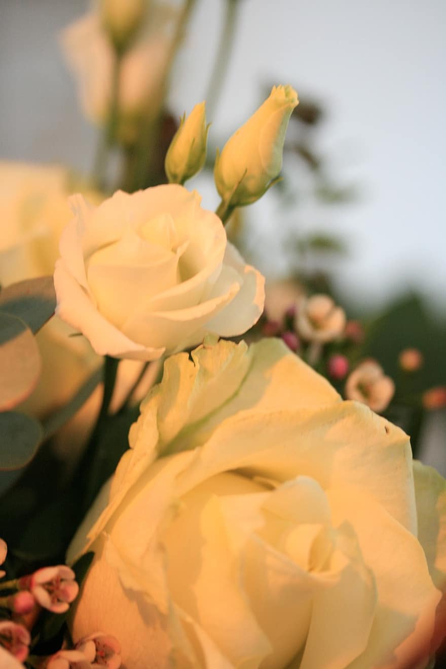 Flowers, Roses, Petals, Buds, Bouquet, Arrangement, Flower Arrangement