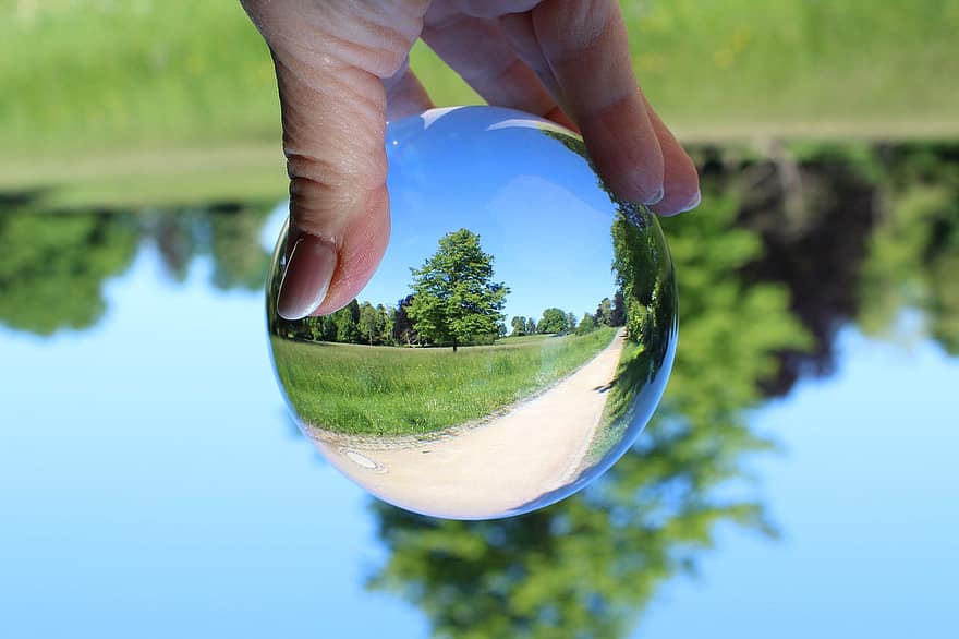 naturaleza, ambiente, lensball, vaso, esfera, reflexión