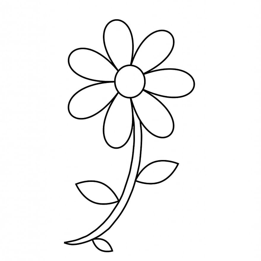 Flower, Floral, Outline, Coloring Page, Coloring Book, Black, White, Line Art