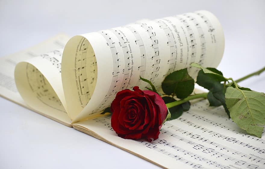 musiikki, nuotit, punainen ruusu, lauluja, konsertti, tehdä musiikkia, rakkaus musiikkiin, rakkauslaulu, laadut, opettajakirja, laulaa