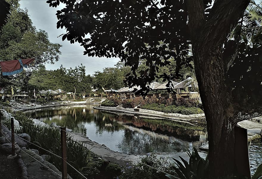 Resort, Pond, Holiday, Travel, Philippines, Nature, Water, tree, summer, forest, landscape