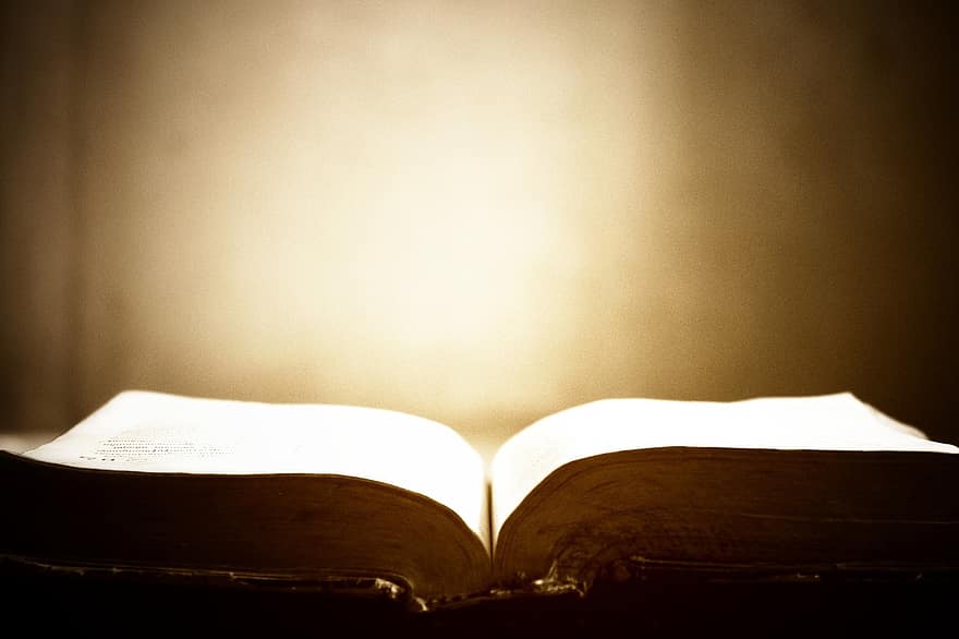 bok, sider, åpen bok, tekst, kunnskap, bibel, tilbedelse
