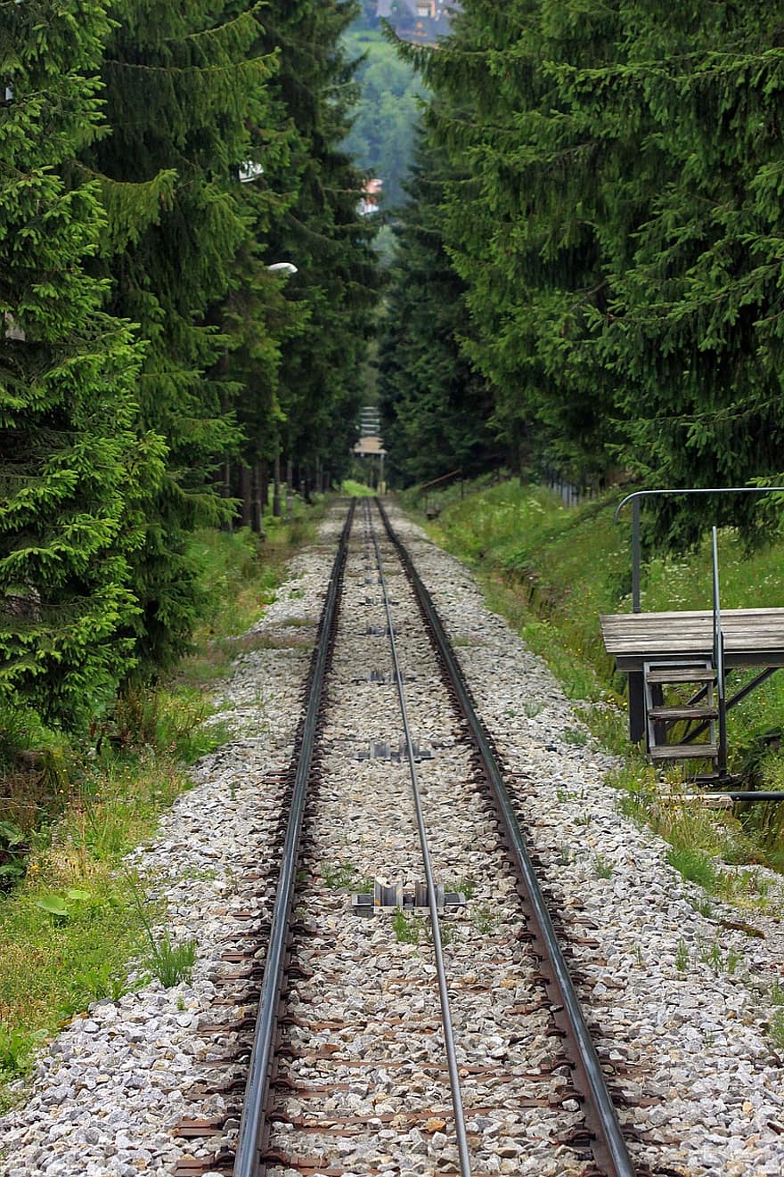 pistes, ferrocarril, baranes, vies del tren, arbres, bosc, a l'aire lliure, naturalesa, perspectiva