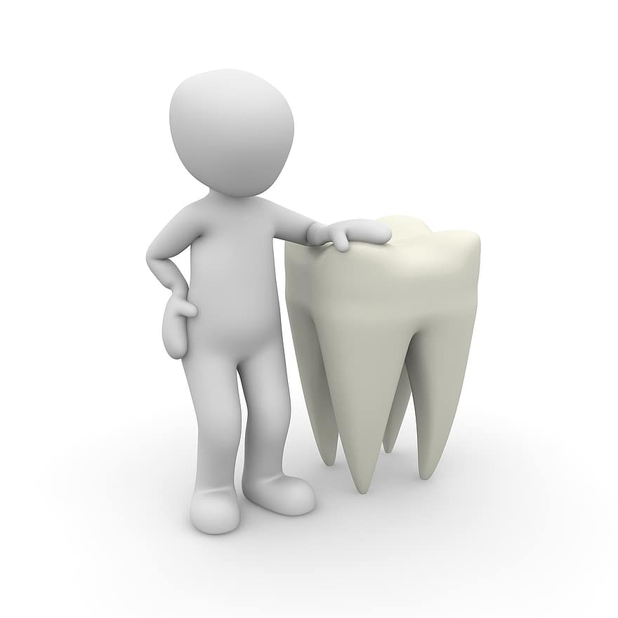 Tooth, Dentist, Close Up, Body Care, Clean, Zahntechnik, Successful Treatment, Teeth