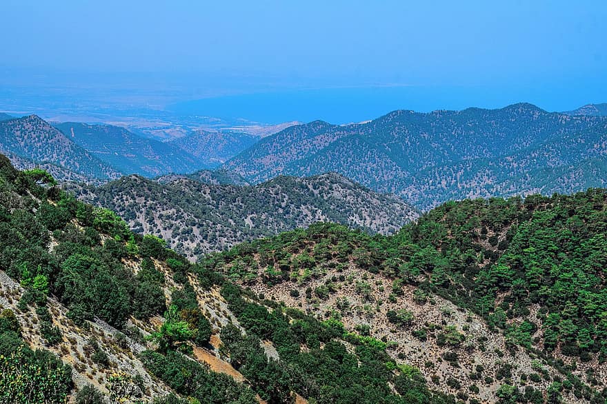 montañas, bosque, arboles, cordillera, naturaleza, paisaje, escénico, desierto, troodos, Chipre, al aire libre