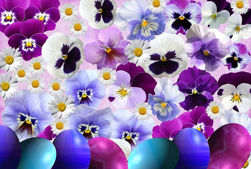 Великдень, яйце, весна, сезон, братка, природи, квіти, сад, провісник весни, Рослина, квітка