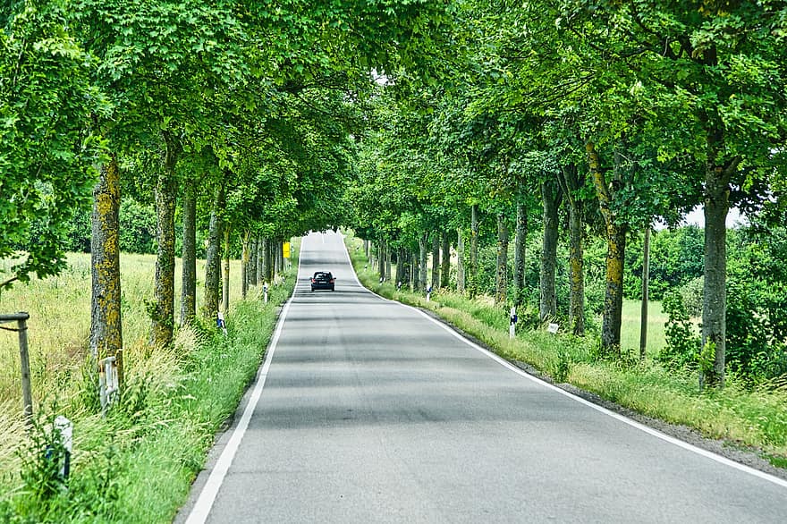 Road, Highway, Car, Trees, Journey, Perspective, Country, Rural, Peaceful, tree, forest