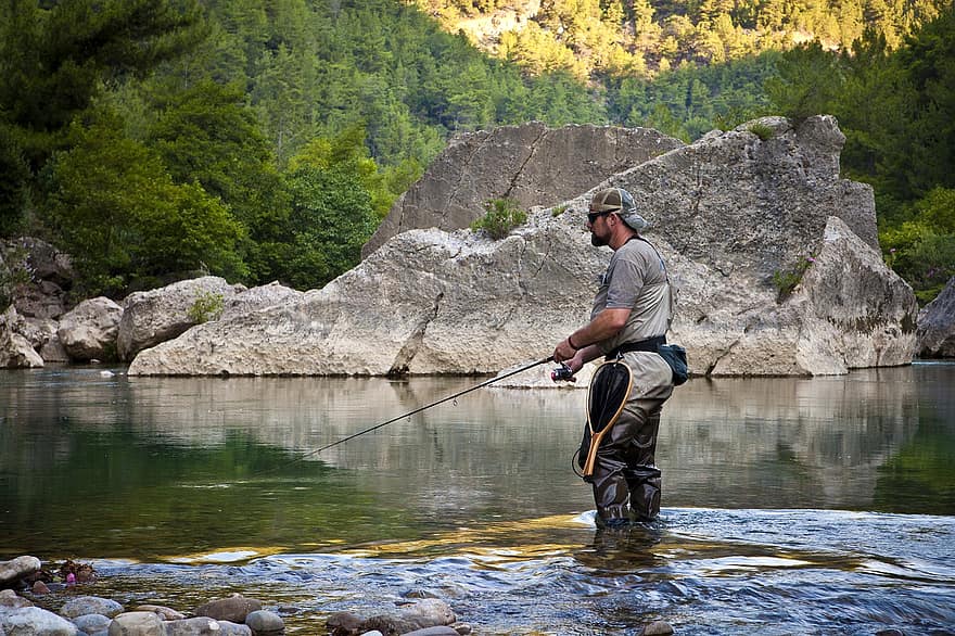 Fisherman, Fishing Rod, Angler, River, Water, Fish, Landscape, Nature, Coniferous Forest, Relaxation, Leisure