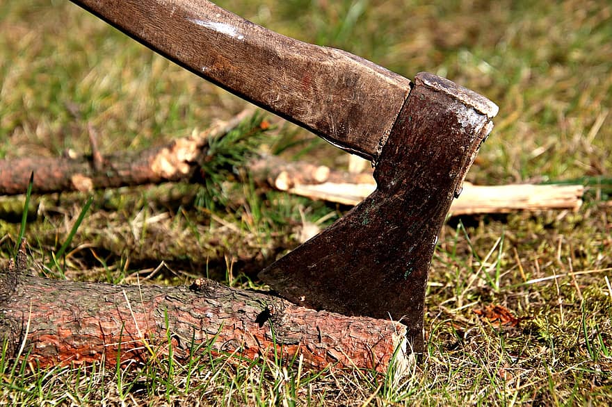 topór, rąbać drewno, log, drewno, narzędzie, sprzęt, las, drewno kominkowe, uchwyt, nóż, narzędzie pracy