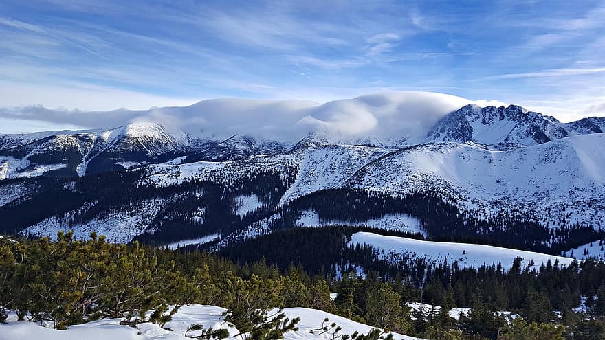 Clouds, Snow, Mountains, Mountain Range, Conifers, Trees, Coniferous, Conifer Forest, Forest, Hoarfrost, Snow Mountains