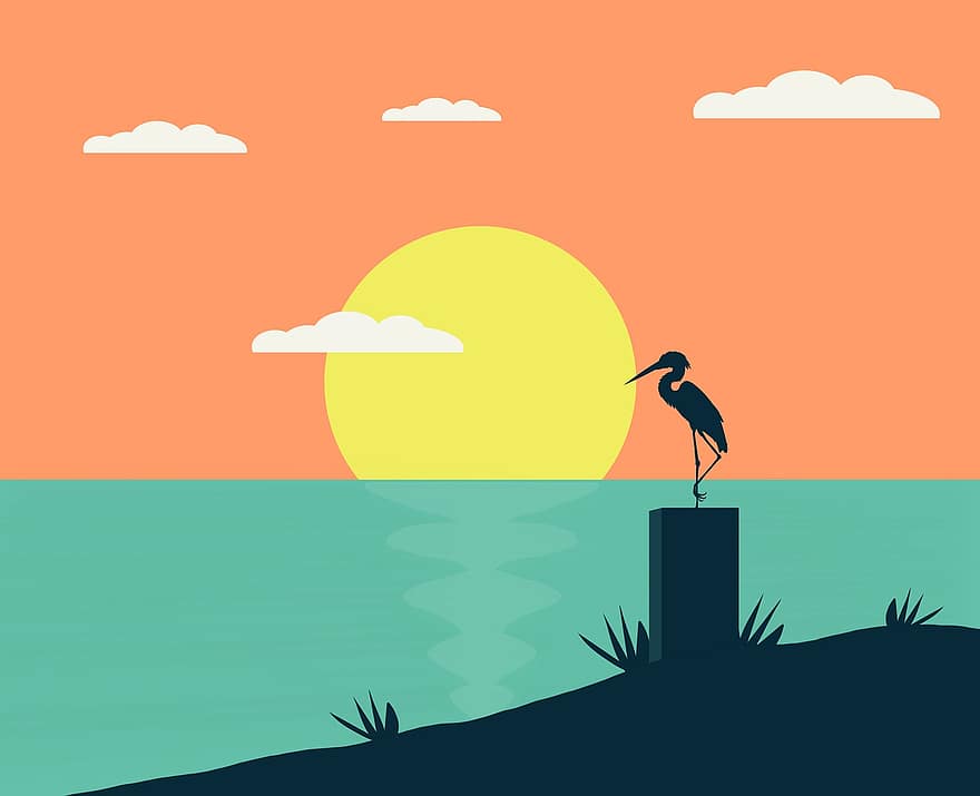 Sunset, Waterscape, Bird, Wading Bird, Sun, Nature, Lake, Water