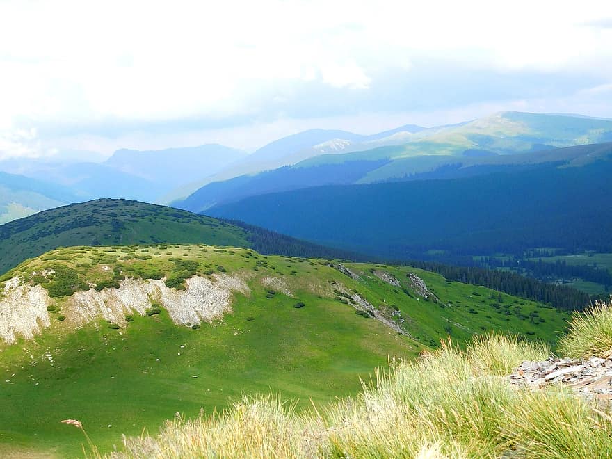 les montagnes, campeur, panorama, herbe, scénique, Voyage, randonnée en montagne, vue, Roumanie