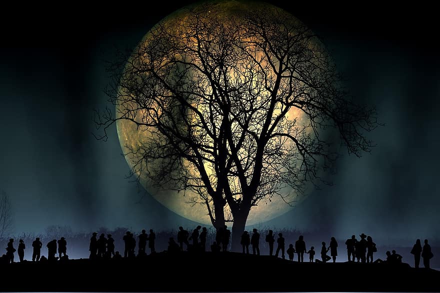 boom, kahl, maan, menselijk, groep, silhouet, achtergrond, nacht, avond, atmosfeer, humeur