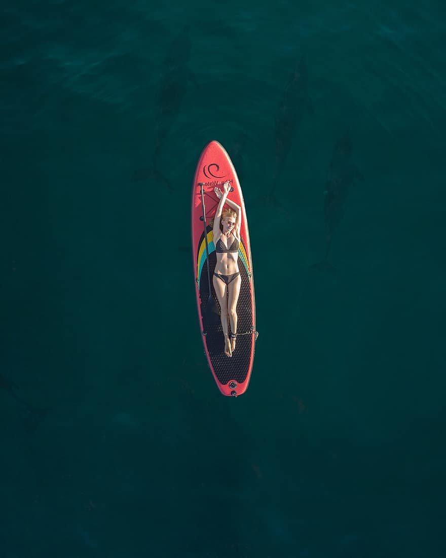女性、サーフボードの上に横たわる、海、海洋、自然、空撮、スタンドアップパドルボード、夏、水、休暇、スポーツ