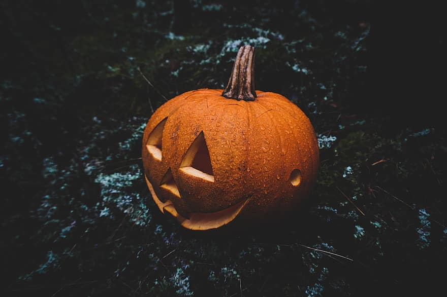Halloween, zucca, jack-o-lanterna, zucca intagliata, Lanterna di Halloween, decorazione di Halloween, arredamento di halloween, spaventoso, raccapricciante