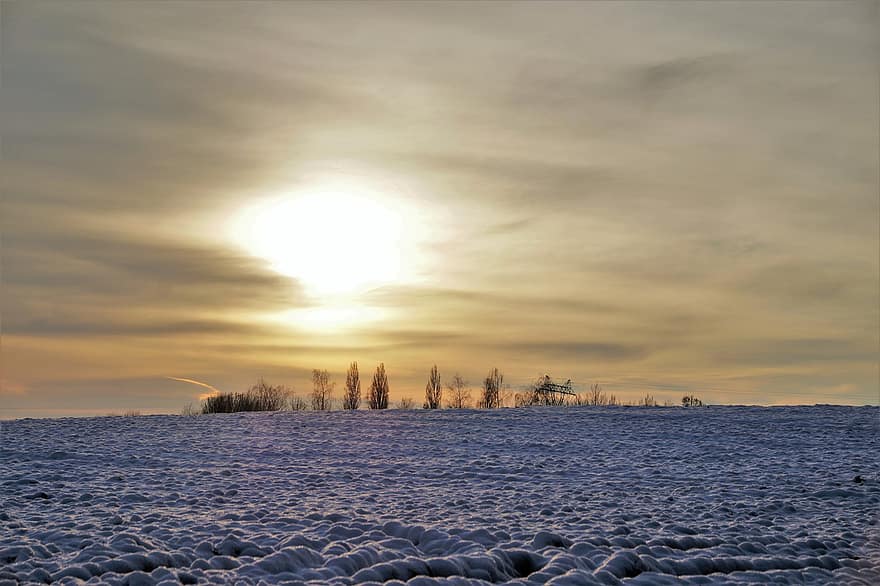Trees, Field, Snow, Snowy Field, Sunset, Horizon, Twilight, Winter