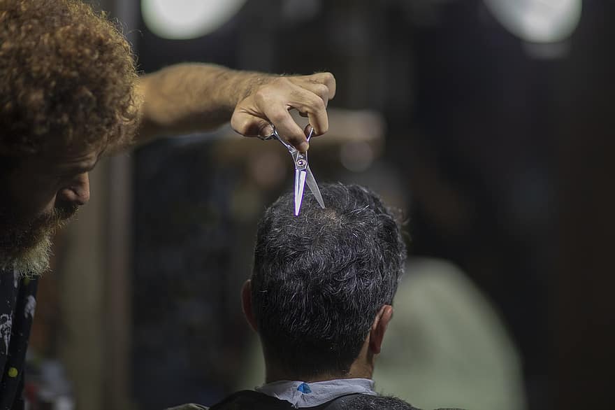 barbería, trabajo, ocupación, negocio, corrí, Ciudad de Mashhad, hombres, pelo, salón