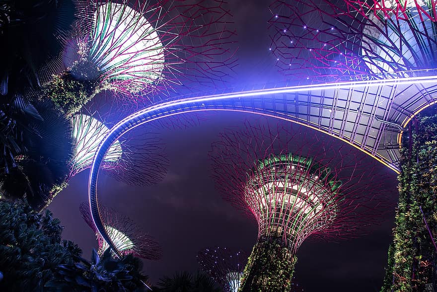 Singapore, Travel, Tourism, City, Urban, Tourist Attraction, Asia, Cityscape, Outdoors, night, architecture