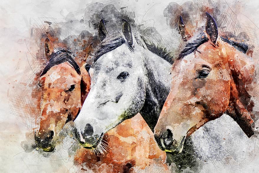 hevoset, hevosen pää, eläimet, nisäkäs, luonto, digitaalinen maalaus, manipulointi
