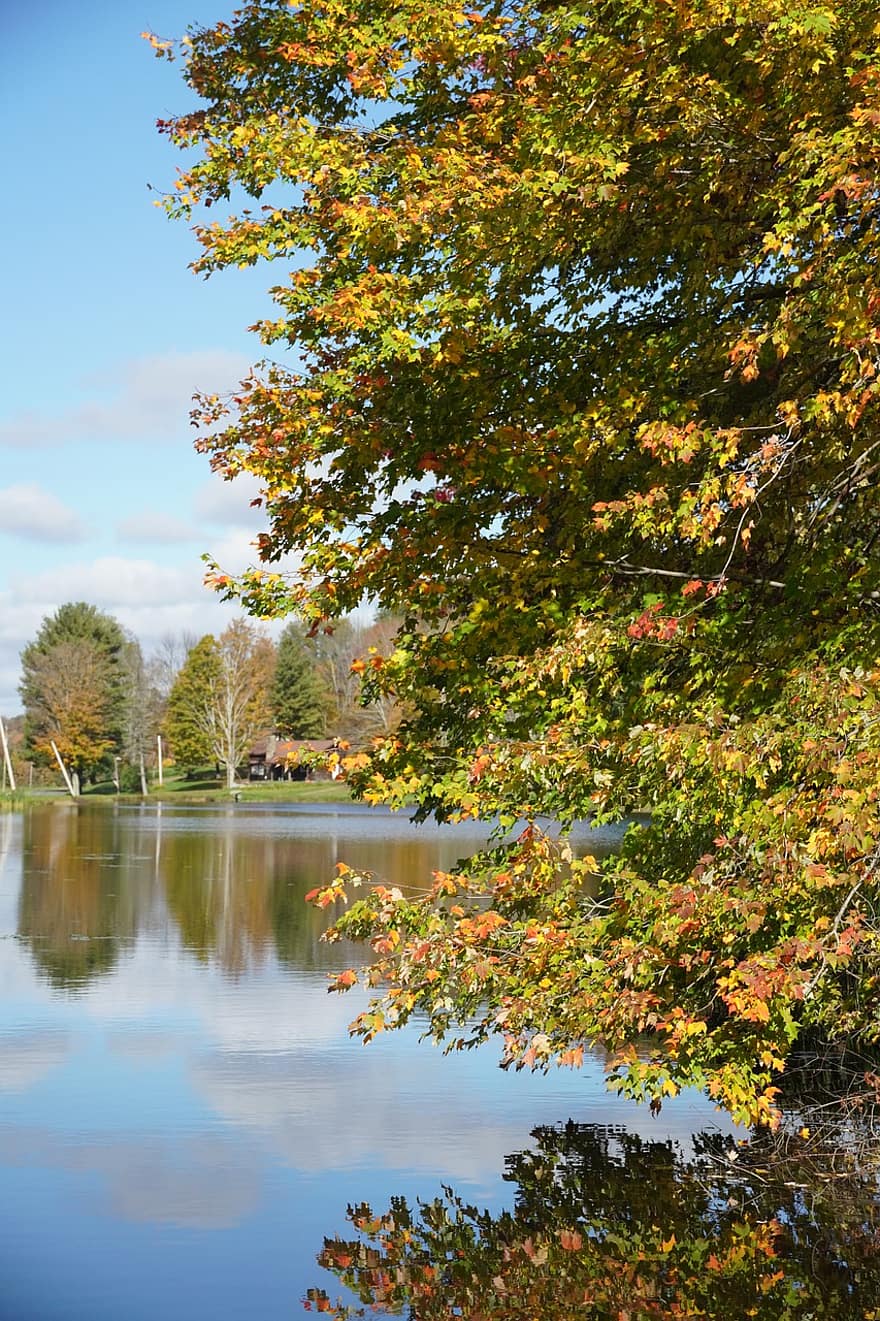 湖、自然、屋外、秋、木、葉、森林、黄、シーズン、マルチカラー、緑色