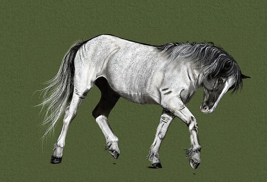кінь, малювання, цифрові ілюстрації, мистецтво, цифровий живопис