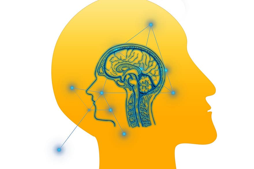 tête, cerveau, pensées, pense, psychologie, homme, réseau, des rayons, les liaisons, processus de pensée, En traitement