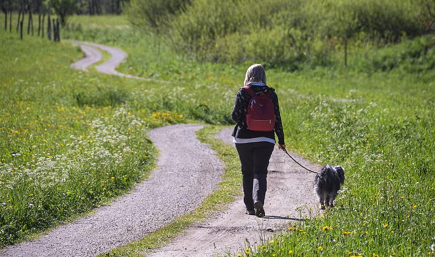 mujer, perro, camino, sendero, caminante, caminata, paseo, caminar, excursionismo, trekking, para caminar