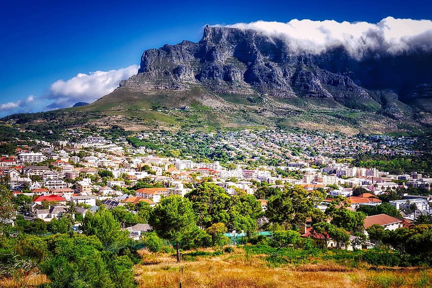Table Mountain, City, Panorama, Mountain, Clouds, Buildings, Houses, Cityscape, Urban, City View, Trees