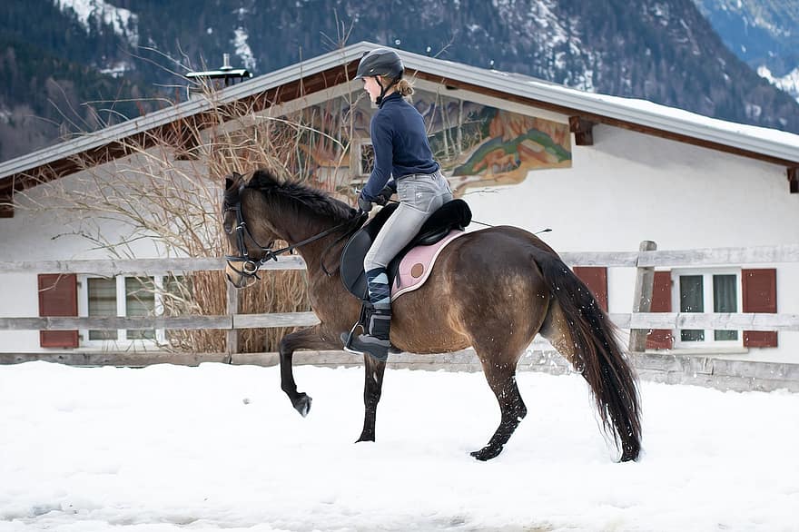 con ngựa, người cưỡi ngựa, cưỡi ngựa, phi nước đại, ngựa con, tuyết, mùa đông, thể thao, nông trại, núi, con ngựa giống