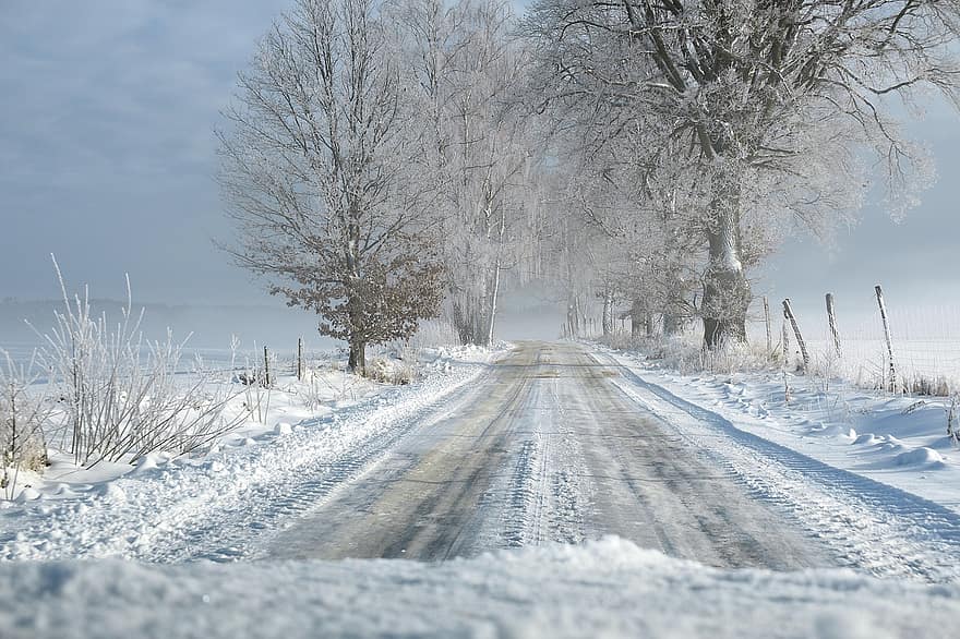 ceļš, ziemā, migla, sniegs, koki, snowdrifts, sala, auksts, slidena, laukus, ainavu
