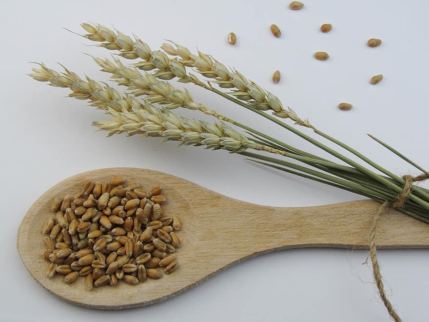 пшениця, колосок, органічні, інгредієнт
