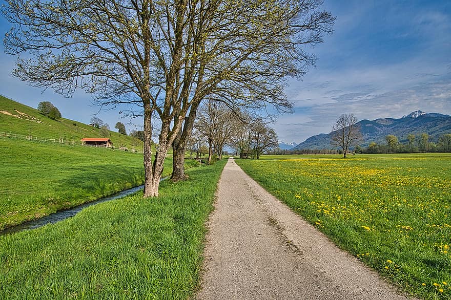 camino, la carretera, camino de tierra, prado, arboles, fila, montañas, distancia, primavera, Chiemgau, naturaleza
