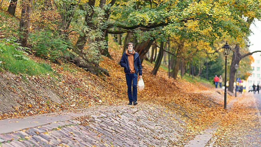 homme, en marchant, trottoir, route, l'automne, des arbres, feuilles, parc, Hommes, feuille, femmes