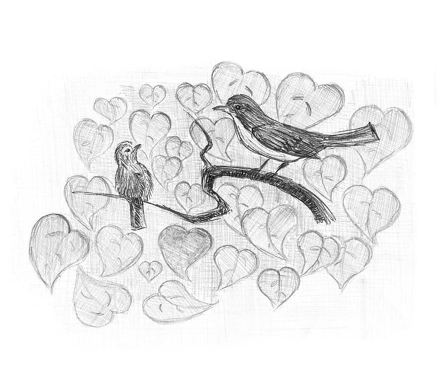 ocells, figura, gris, blanc i negre, ocell, naturalesa, animals, disseny, art, imatge, arbre