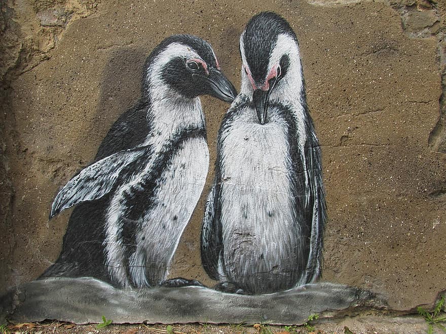 pinguins, arte de parede, parede, jardim zoológico, Berlim, animal, natureza, fotografia da vida selvagem, mundo animal, parque animal de berlim, capital