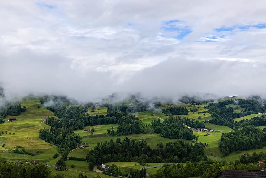 Schweiz, tåge, landsby, landskab, Østschweiz, landdistrikterne, bakke