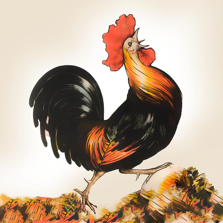 Rooster, Cock, Singing, Pose, Animal, Farm, Cockerel, Bird, Domestic, Poultry, Feathers