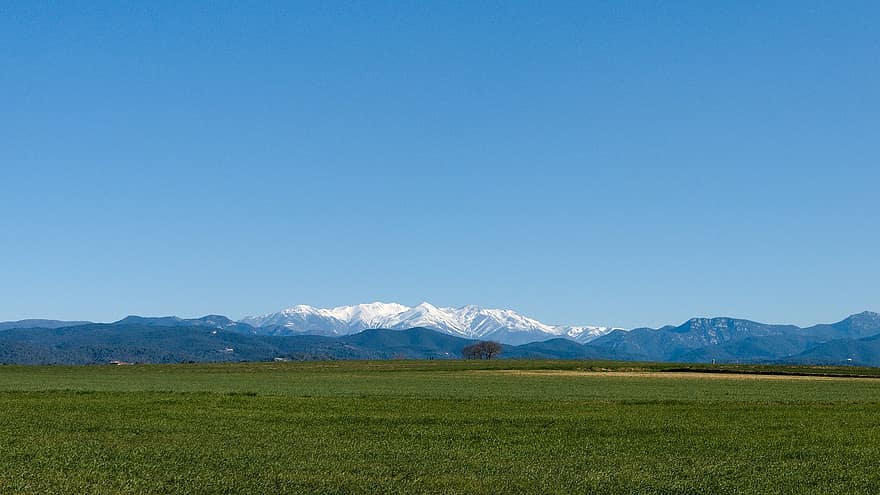 Fields, Grasslands, Mountains, Snow, Pyrenees, grass, mountain, summer, meadow, rural scene, blue