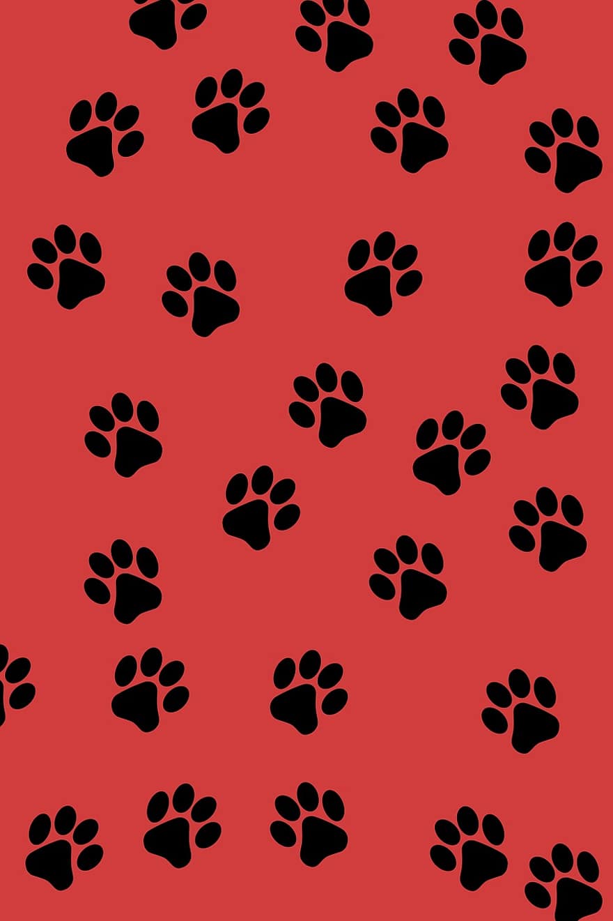 Paw Prints, Background, Animal, Paw, Black, Red, Scrapbooking, Pattern, Red Background, Red Animals