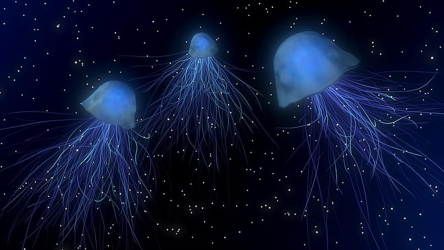 медузи, морські желе, Глибоке море, сяючий, містичний, 3d, світиться, блендер, тварини, водні істоти, щупальця