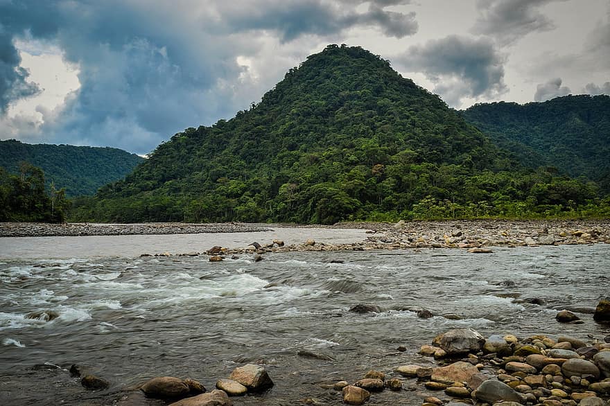 Water, River, Jungle, Brook, Trees, Mountains, Forests, Stones, Nature, Landscape, Culture